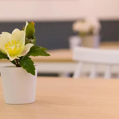 بيت ضيافة Ferradura 3*