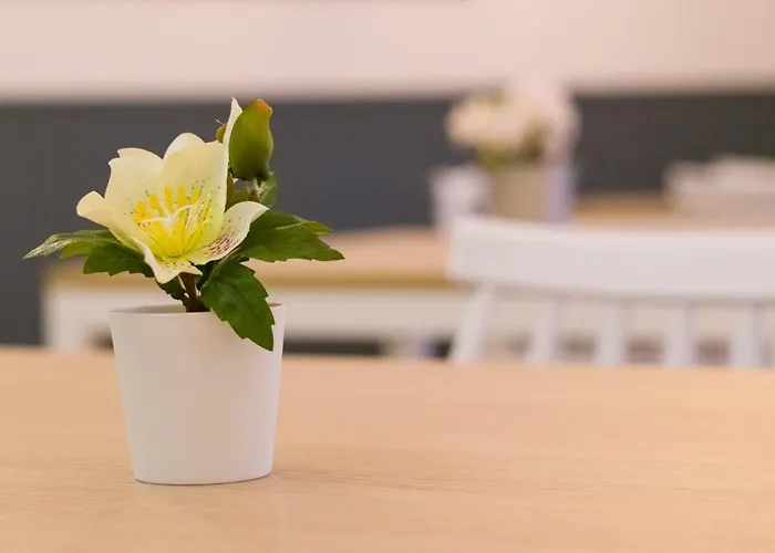 Πανσιόν Ferradura 3*